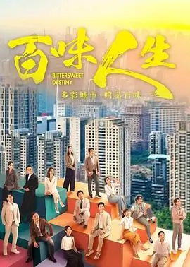 雾港回声 高分悬疑推理剧集海报